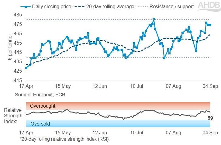 Line graph of Paris rapeseed futures Nov-26 contract prices in £/t over the past six months.